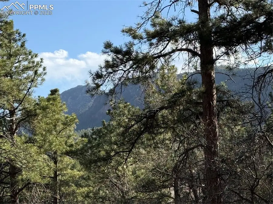 Hyde Street, Palmer Lake, CO 80133 - Image #3