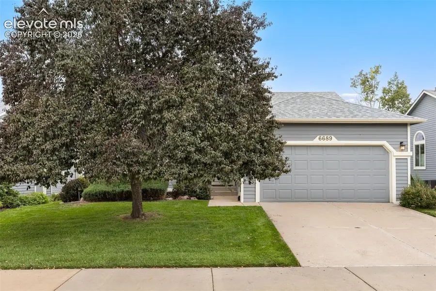 6689 Showhorse Court, Colorado Springs, CO 80922 - #2