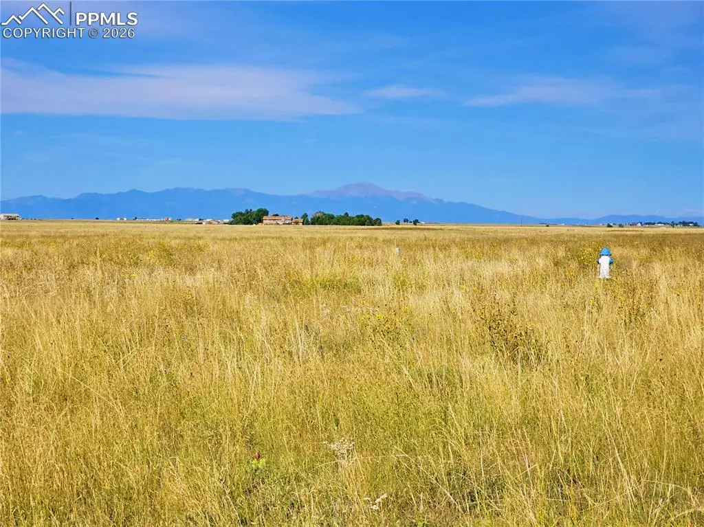 23712 Redtail Drive, Colorado Springs, CO 80928 - #1