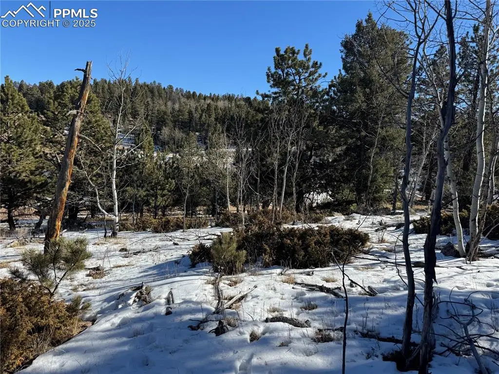 91 Hidden Valley Drive, Florissant, CO 80816 - Image #1