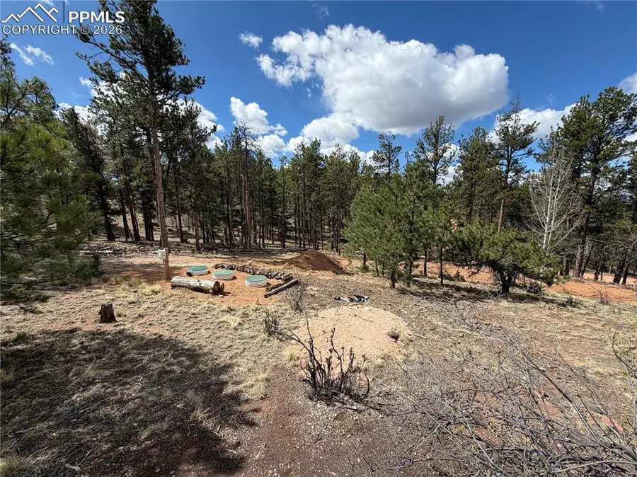 2988 Pikes Peak Drive, Florissant, CO 80816 - #3