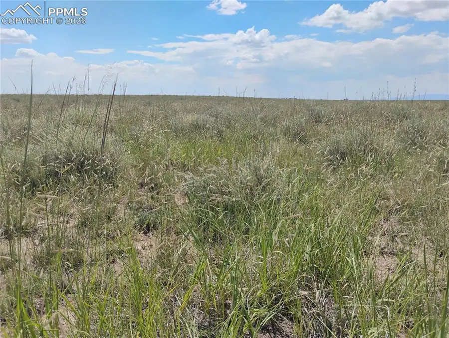 20370 Squirrel Creek Road, Colorado Springs, CO 80928 - #2