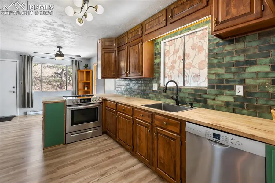 5060 County Road 1, Cripple Creek, CO 80813 - #3