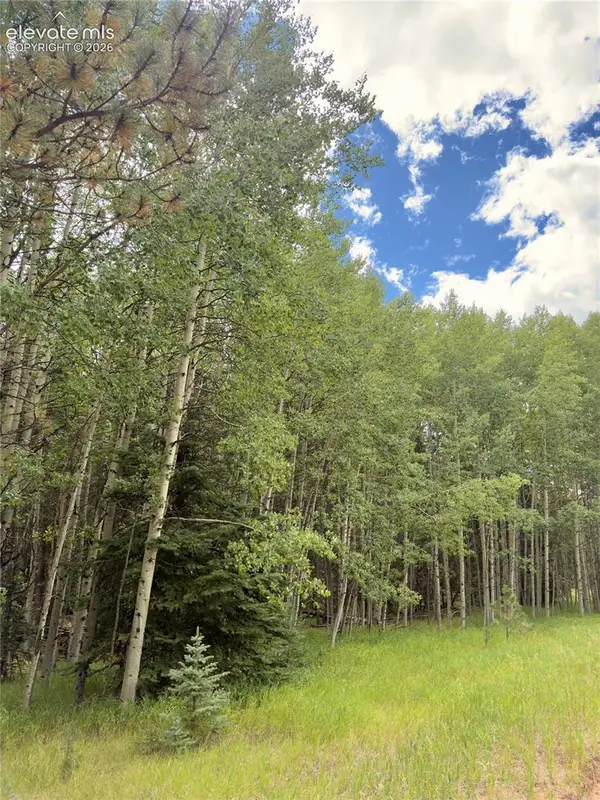 616 Spring Valley Lane, Florissant, CO 80816