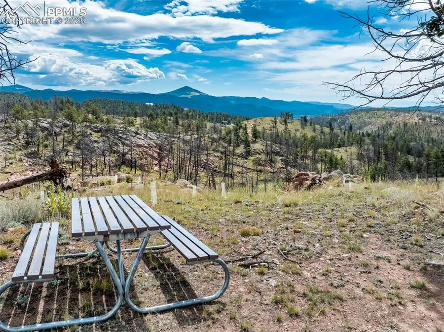 224 Chapparal Trail, Florissant, CO 80816 - Image #2