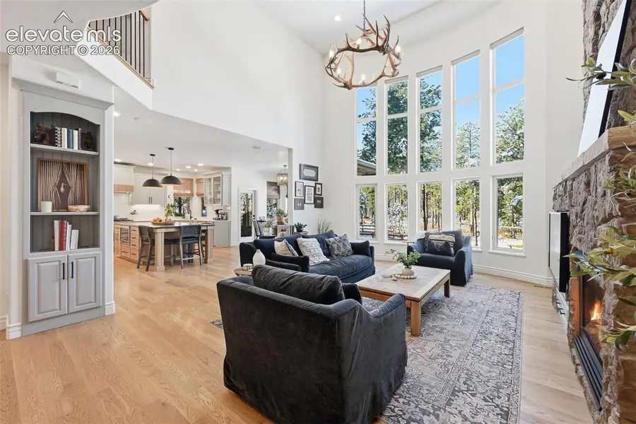 18030 Bankhurst Court, Monument, CO 80132 - #3