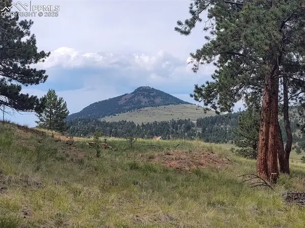 220 Reed Circle, Cripple Creek, CO 80816