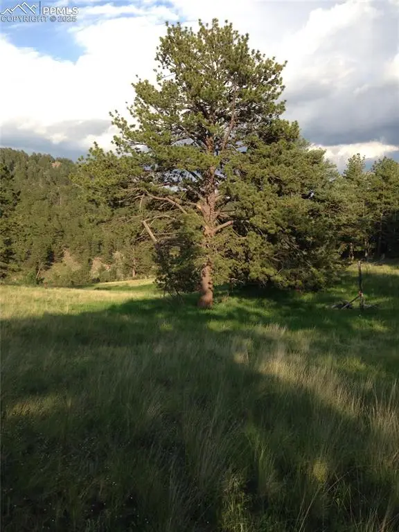 220 Reed Circle, Cripple Creek, CO 80816 - Image #3