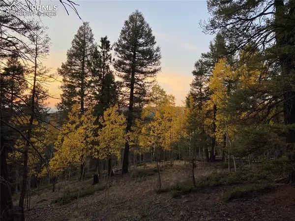 835 Bennett Drive, Cripple Creek, CO 80813