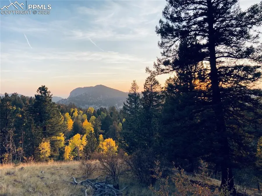 835 Bennett Drive, Cripple Creek, CO 80813 - #2