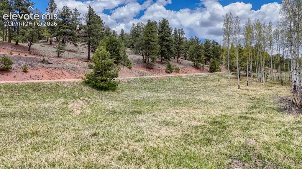 42 Rabbit Circle, Florissant, CO 80816 - #1