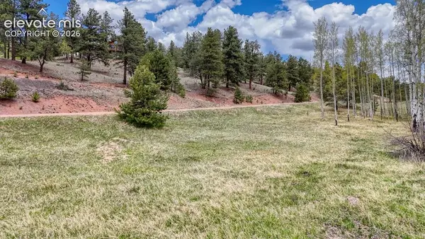 42 Rabbit Circle, Florissant, CO 80816
