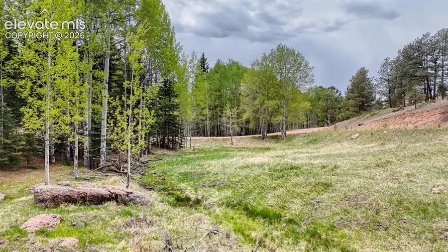 42 Rabbit Circle, Florissant, CO 80816 - #3