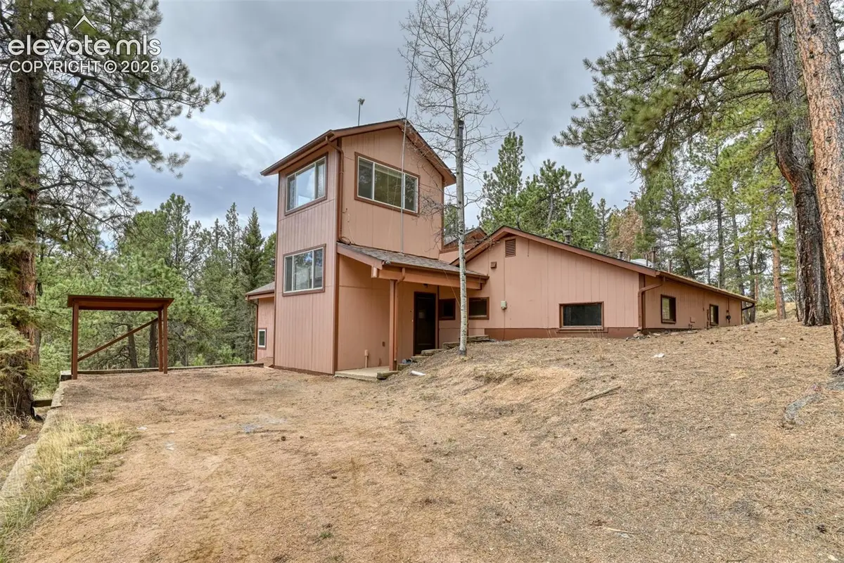 124 Trout Creek Drive, Divide, CO 80814 - #1