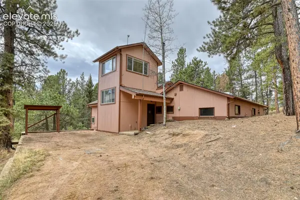 124 Trout Creek Drive, Divide, CO 80814
