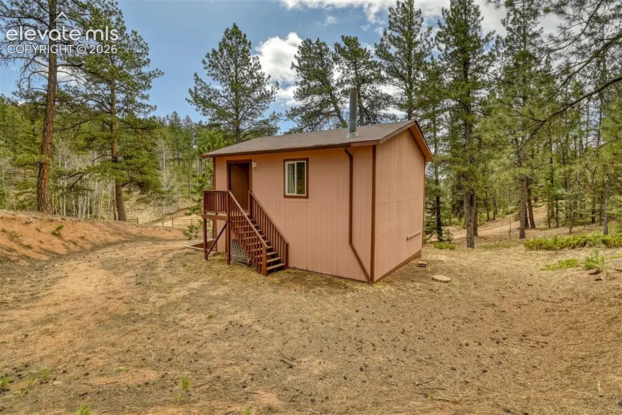 124 Trout Creek Drive, Divide, CO 80814 - #2