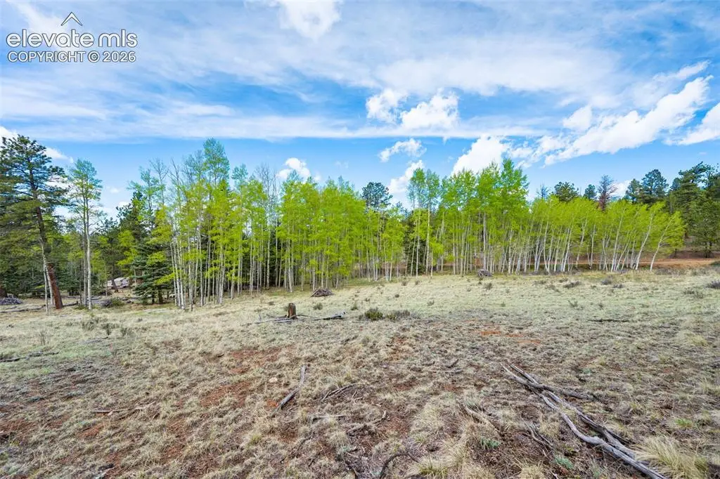 57 Beaver Creek Drive, Lake George, CO 80827 - #1