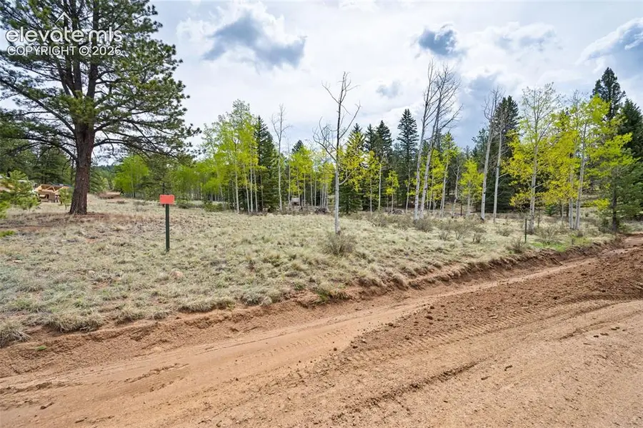 57 Beaver Creek Drive, Lake George, CO 80827 - #2