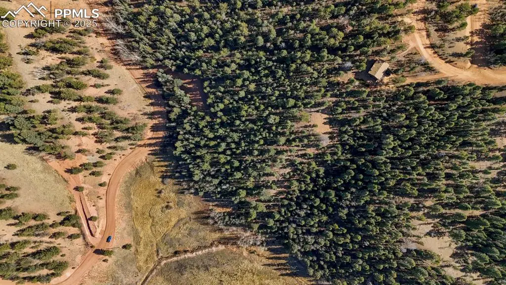 342 Vivenda Road, Cripple Creek, CO 80813 - Image #1