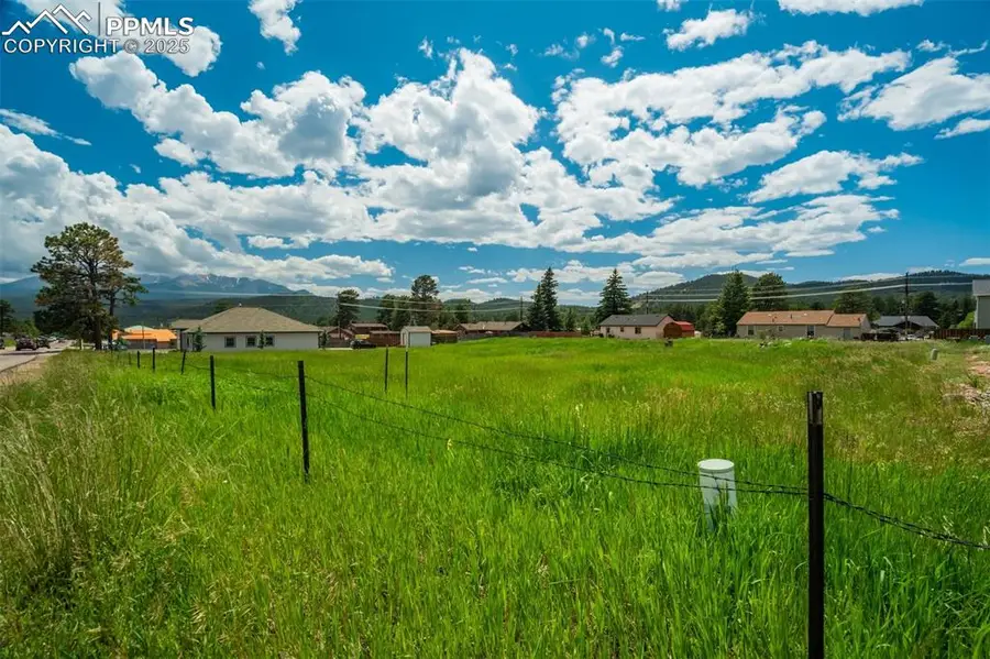 Baldwin Street, Woodland Park, CO 80863 - Image #2