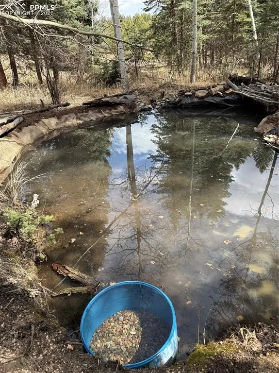 249 Gold Dust Creek Road, Florissant, CO 80816 - #2