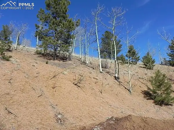 185 No Name Lane, Cripple Creek, CO 80813