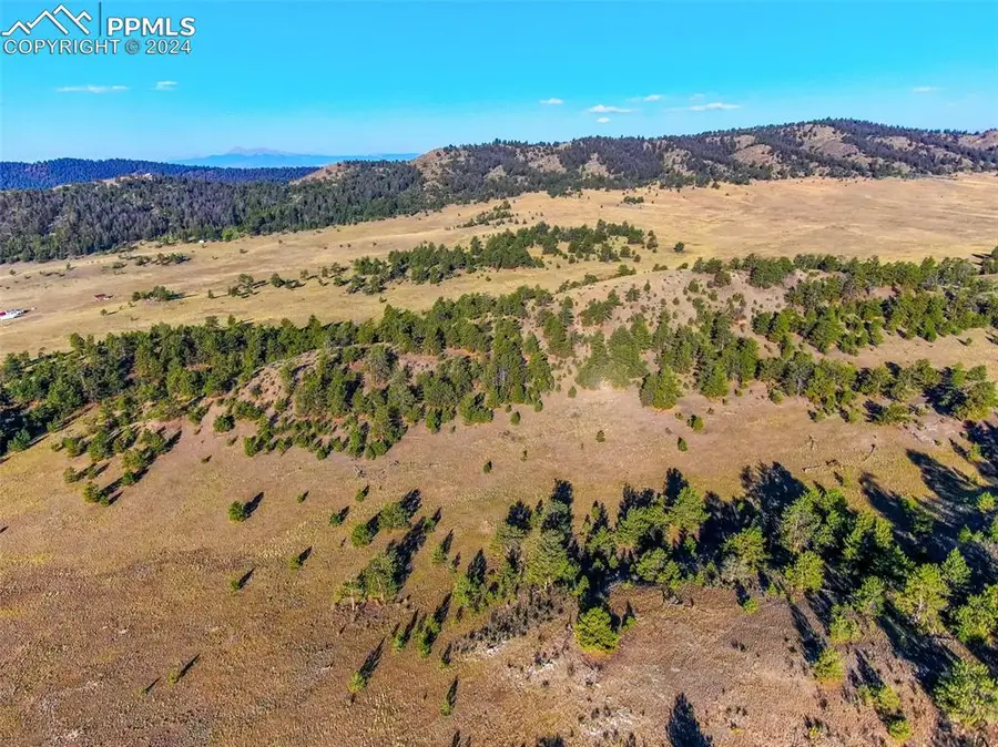 4397 Elkhorn Road, Hartsel, CO 80449 - #2