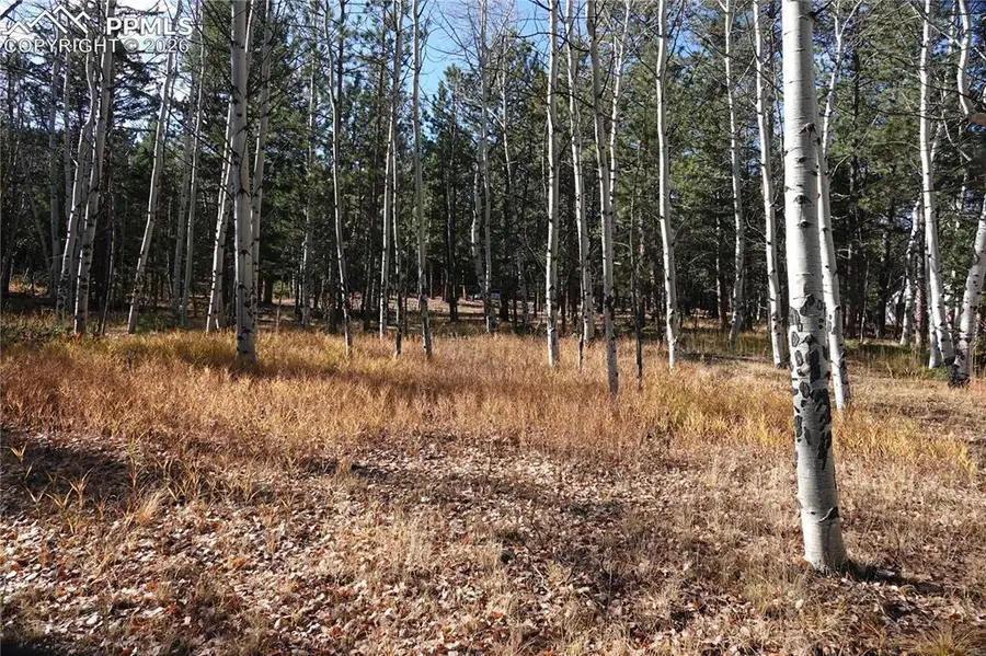 1360 Windflower Lane, Woodland Park, CO 80863 - #2