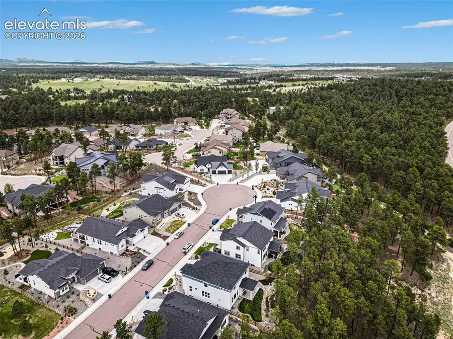 16325 Treetop Glory Court, Monument, CO 80132 - #3