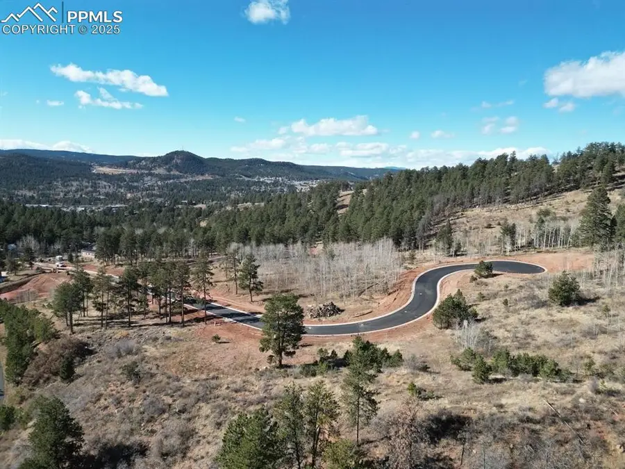 1380 Blue Haven Place, Woodland Park, CO 80863 - Image #2