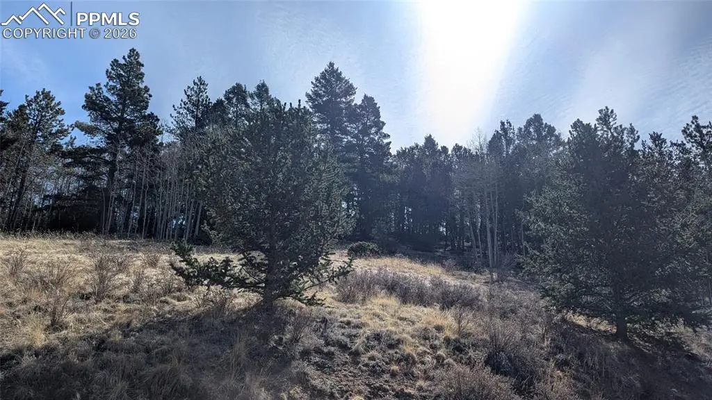 136 Valley Road, Divide, CO 80814 - #1