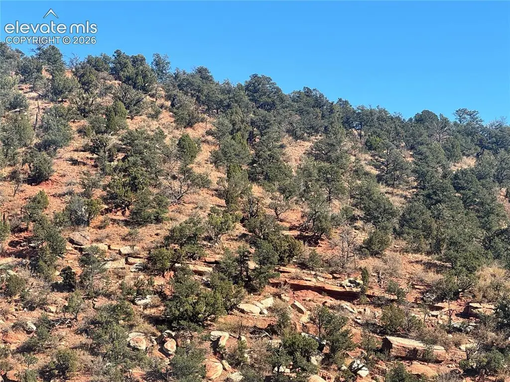 Tarrant Street, Manitou Springs, CO 80829 - #1