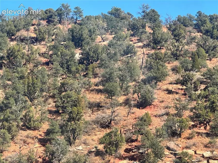 Tarrant Street, Manitou Springs, CO 80829 - #3