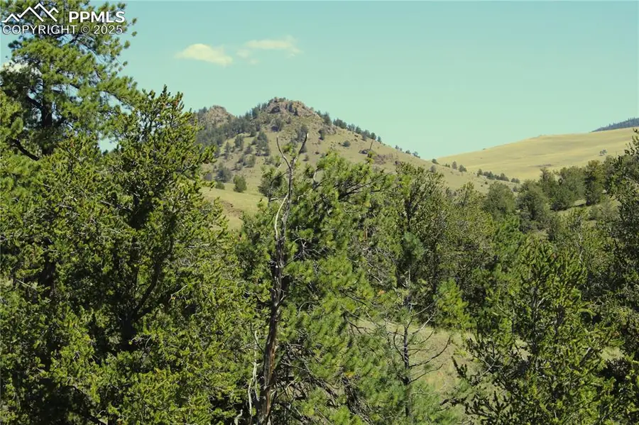 Highway 9, Guffey, CO 80820 - #2