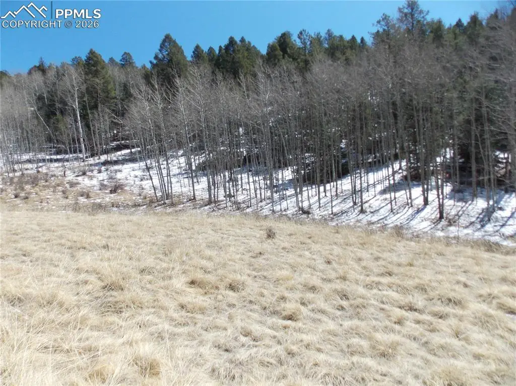 388 Grey Eagle Drive, Cripple Creek, CO 80813 - #1