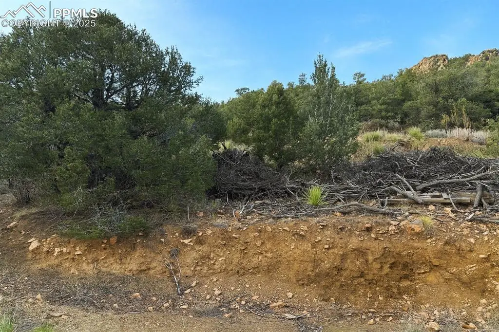 2973 Driftwood Road, Westcliffe, CO 81252 - Image #1