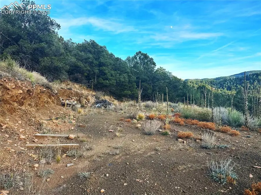 2973 Driftwood Road, Westcliffe, CO 81252 - Image #3