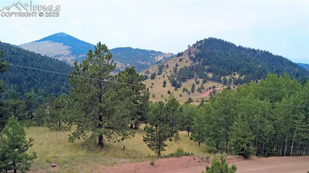 726 Copper Mountain Drive, Cripple Creek, CO 80813 - #1