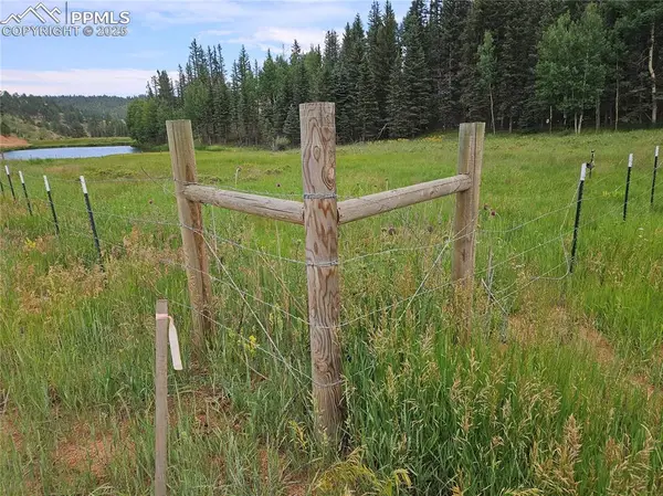 702 Lake Drive, Divide, CO 80814