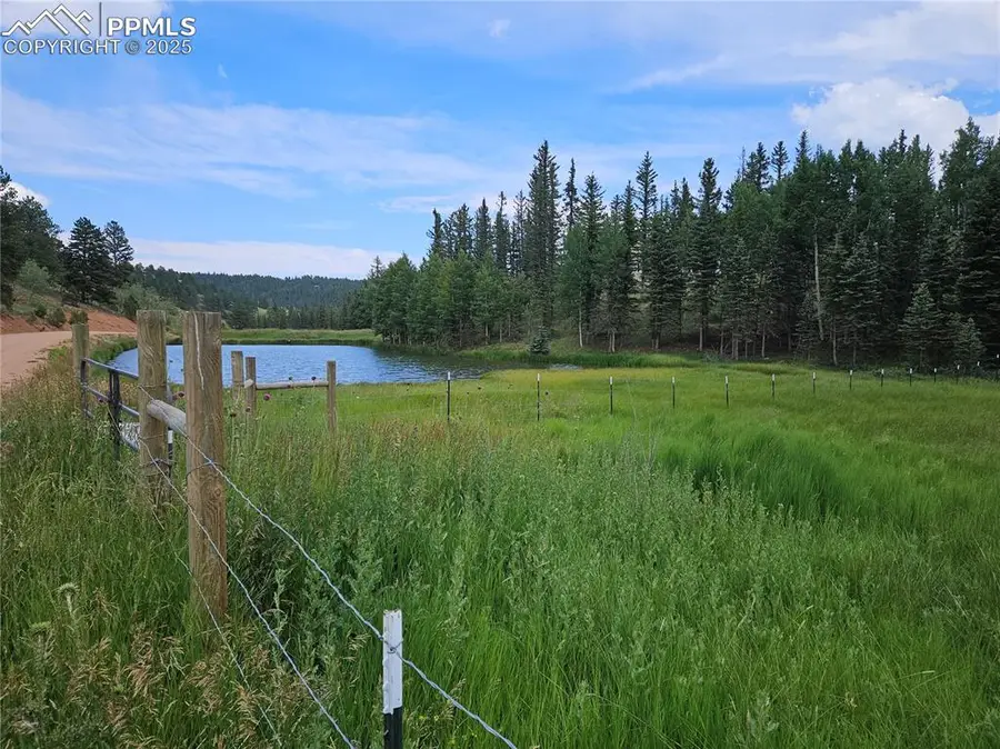 702 Lake Drive, Divide, CO 80814 - Image #2