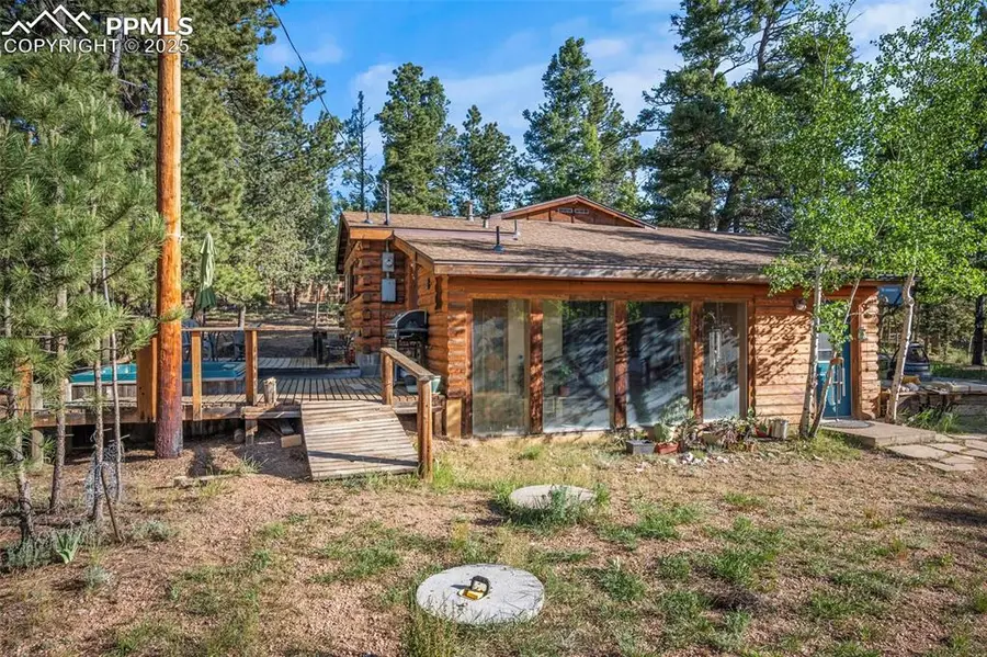 317 Blossom Road, Woodland Park, CO 80863 - Image #3