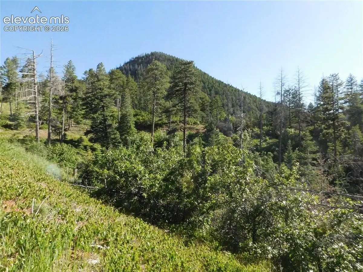 Lot 11 Cheyenne Drive, Larkspur, CO 80118 - #1