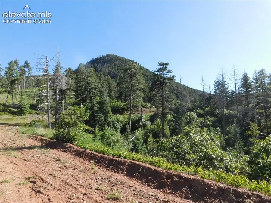 Lot 11 Cheyenne Drive, Larkspur, CO 80118 - #2