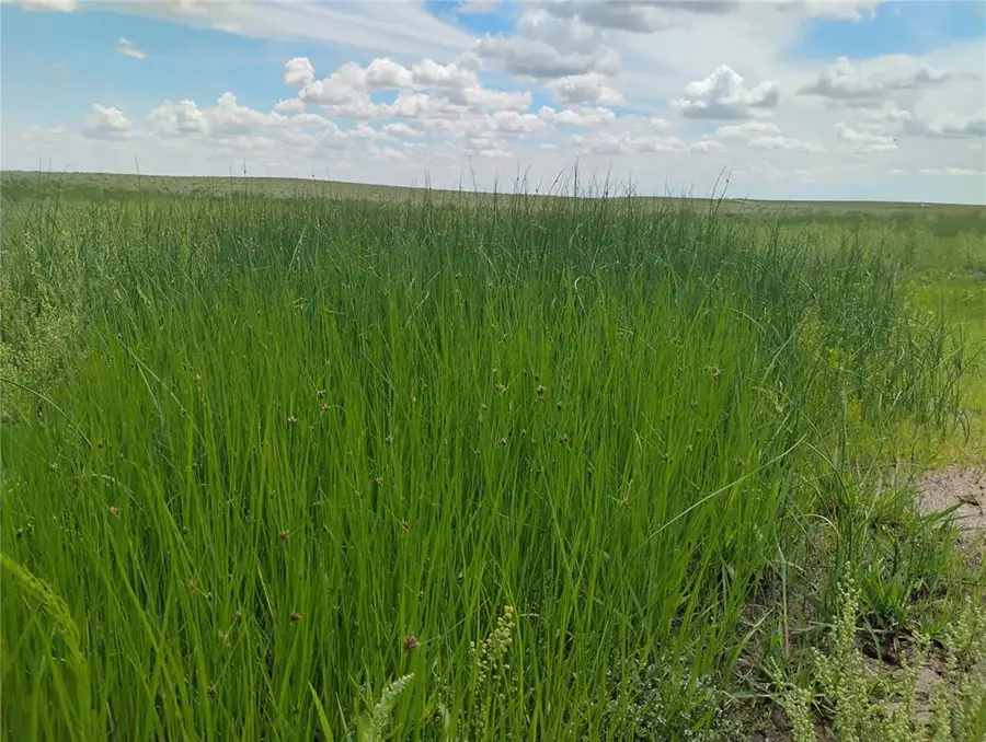 Parcel 7 S Peyton Highway, Colorado Springs, CO 80928 - Image #3