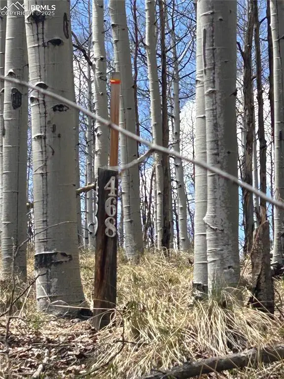 178 Summit Road, Lake George, CO 80827 - Image #1