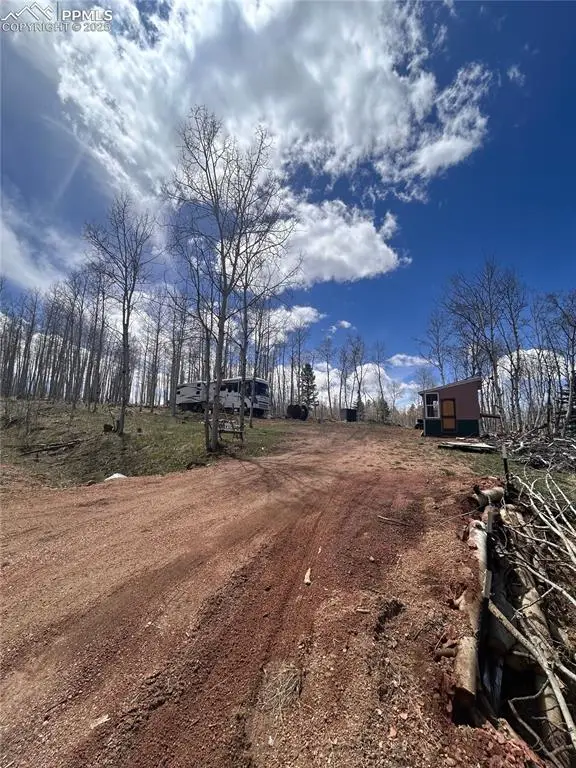 178 Summit Road, Lake George, CO 80827 - Image #3