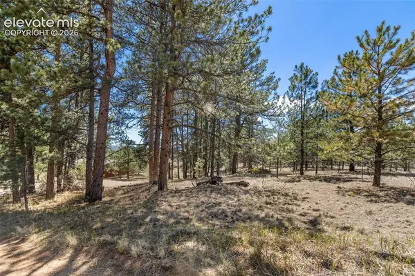 349 Rhyolite Lane, Florissant, CO 80816