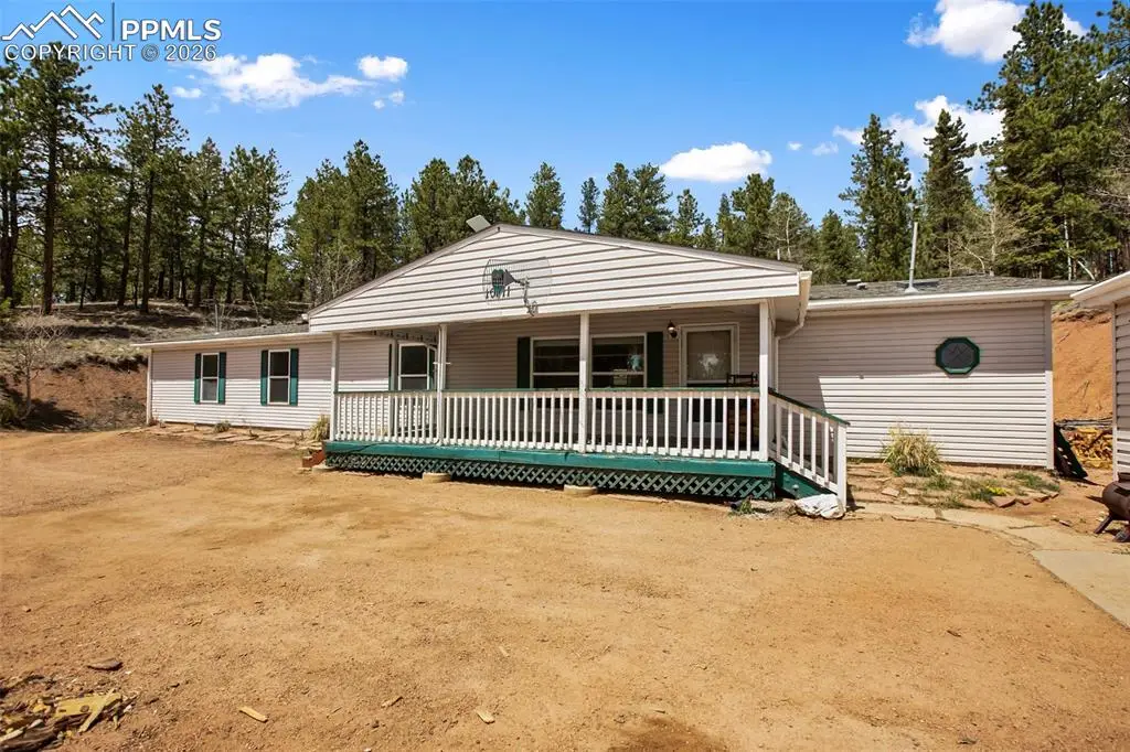 1011 W Bison Creek Trail, Divide, CO 80814 - #1