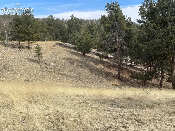 86 & 122 Junction Circle, Florissant, CO 80816