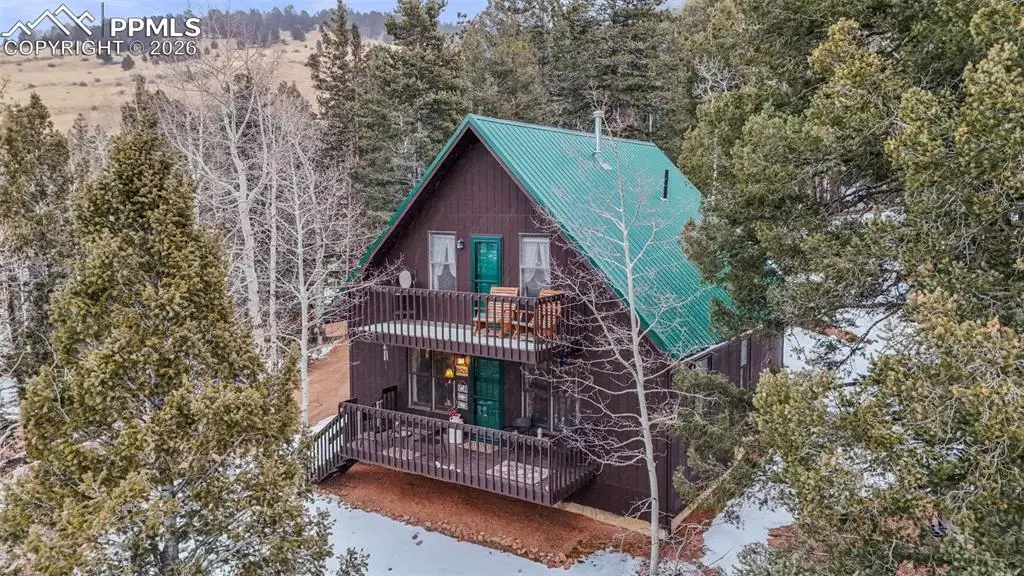 826 Troy Drive, Cripple Creek, CO 80813 - #1